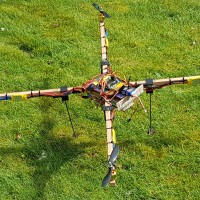 hummngbird ready to fly