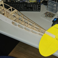 fuselage   tail  
