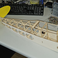 fuselage   tail  