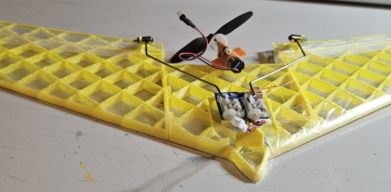 Printed wing