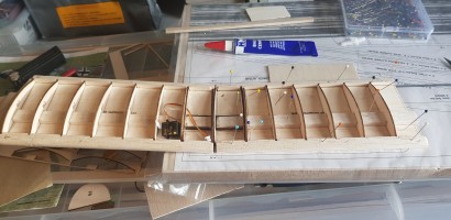 building lower wing